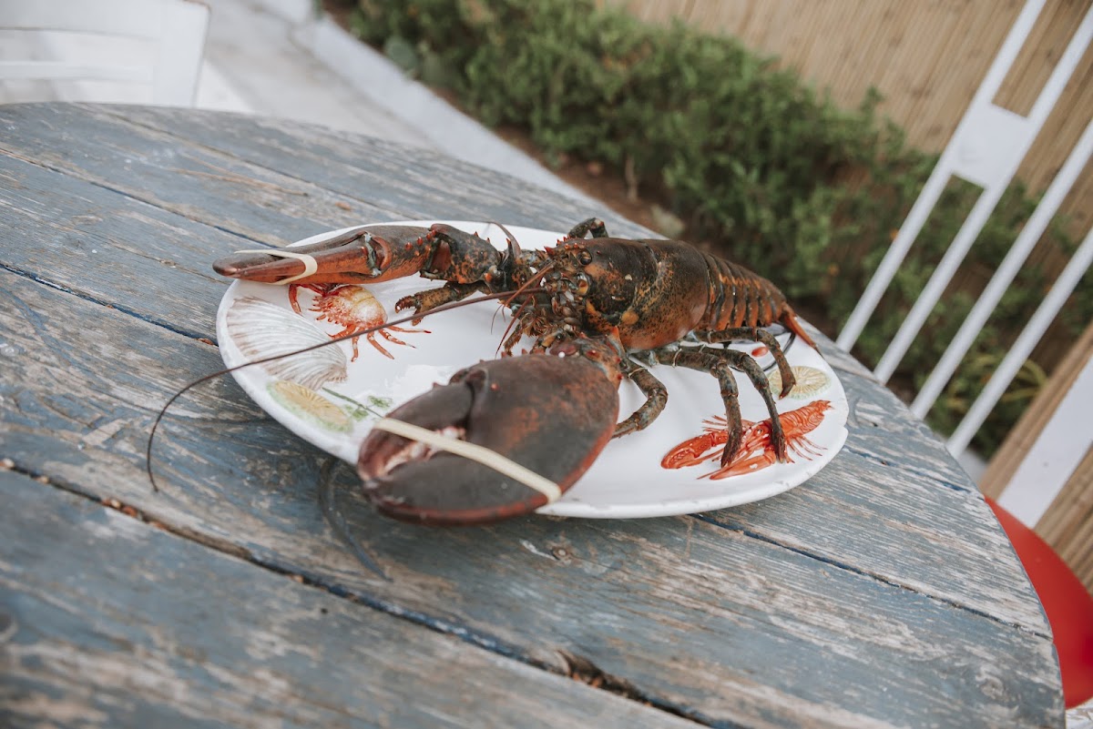 Rewind Manfredonia Photos 2